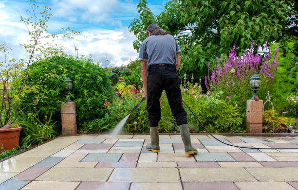 Best Fence Cleaning and Maintenance in Charlottesville, VA