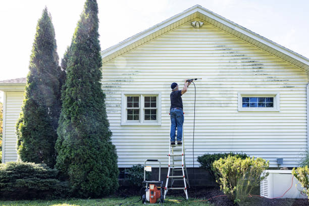 Best Residential Pressure Washing in Charlottesville, VA
